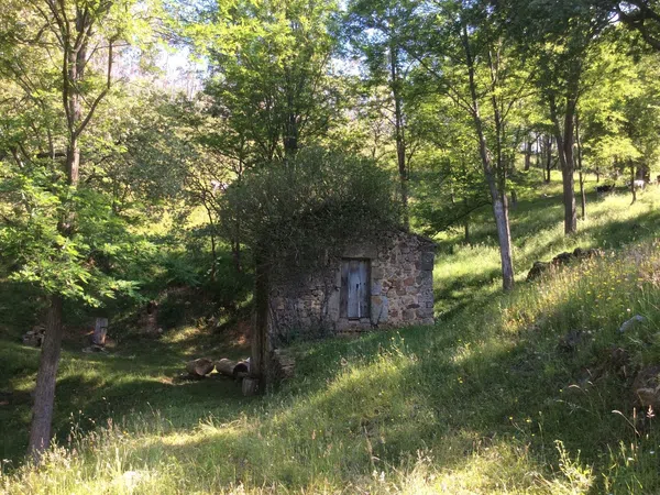 Finca rústica en Avenida Alisas, 5 - Foto 3