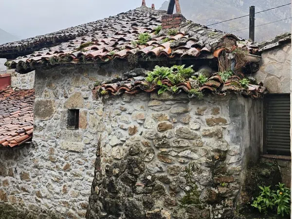 Casa de pueblo en Villanueva s/n - Foto 2