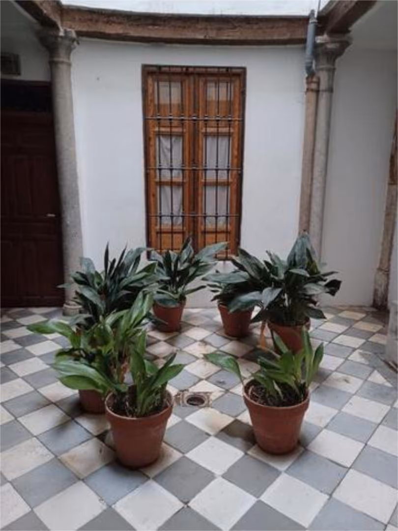 Apartamento en Centro - Foto 5