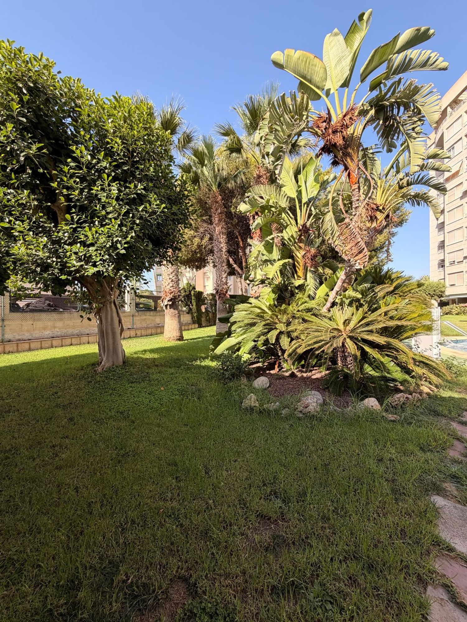 Piso en Avenida Oviedo, 15, Playa de San Juan - Foto 22
