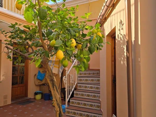 Casa de pueblo en Calle de Gabriel i Galán - Foto 35