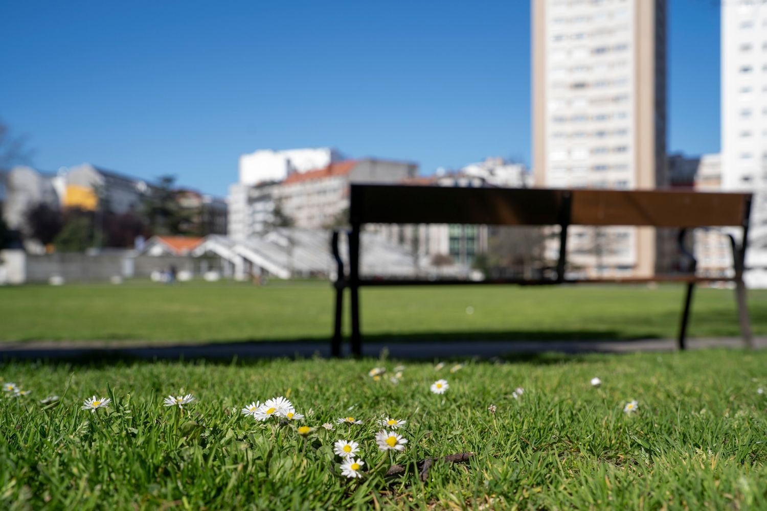 Piso en calle Manuel Piñeiro Pose, 10 - Foto 29