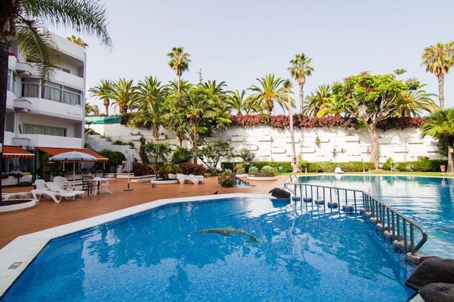 Estudio en Distrito Botánico - Foto 5