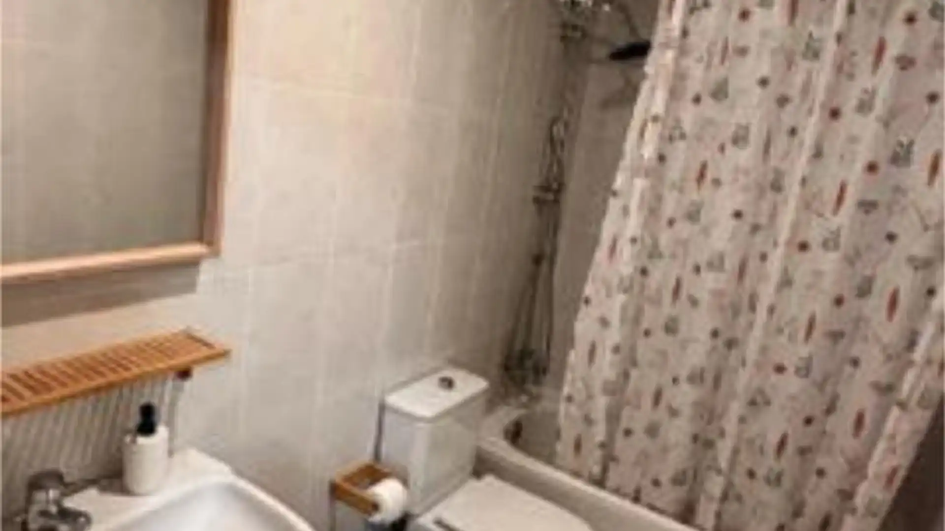 Apartamento en Plaza del Caballo - Foto 9