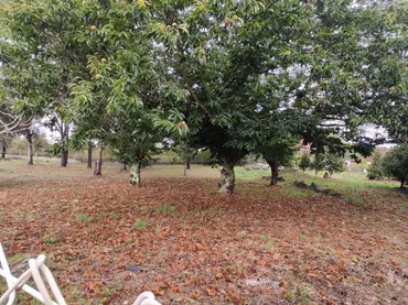 Planta baja en  Rúa Doutor Martínez Rodríguez 22 - Foto 31