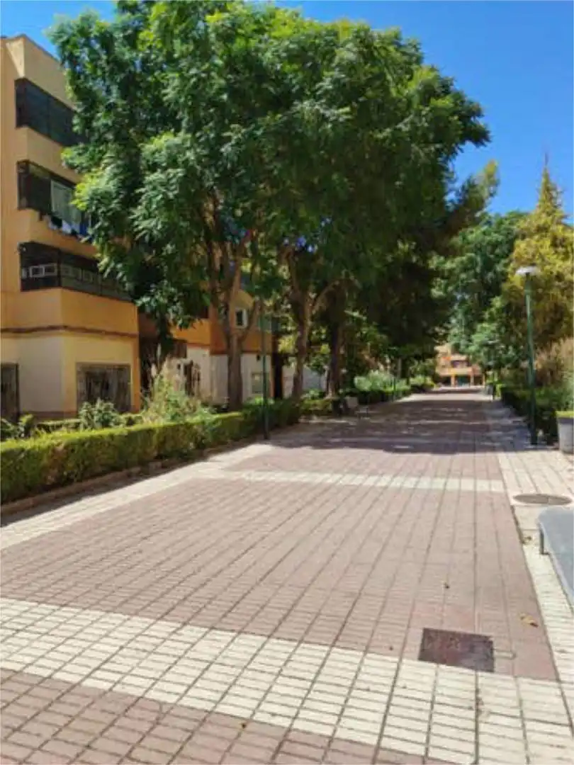Piso en Nuevo Manzanares - Foto 2