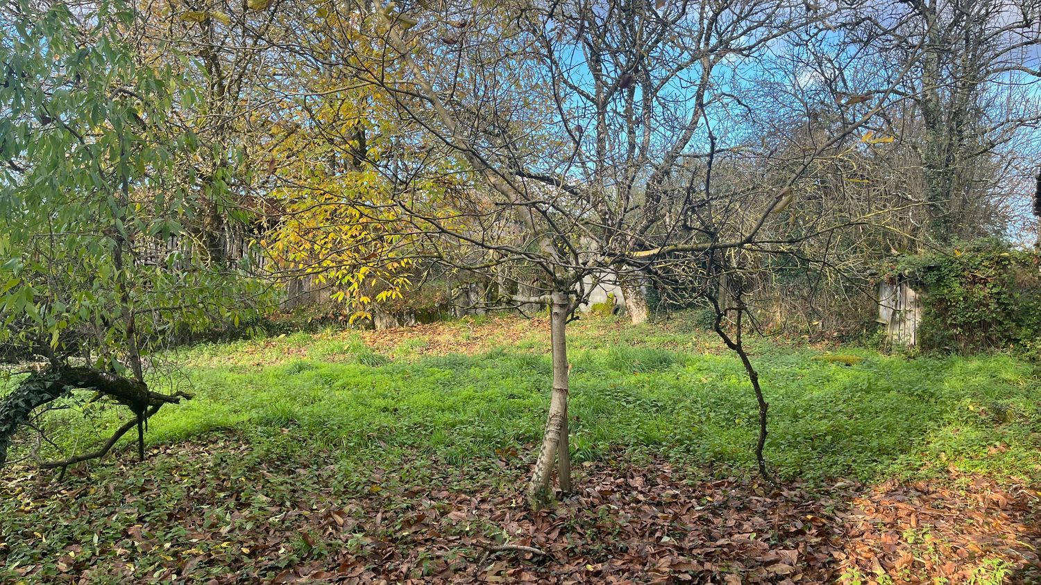 Casa de pueblo en castro de amarante, 27 - Foto 4