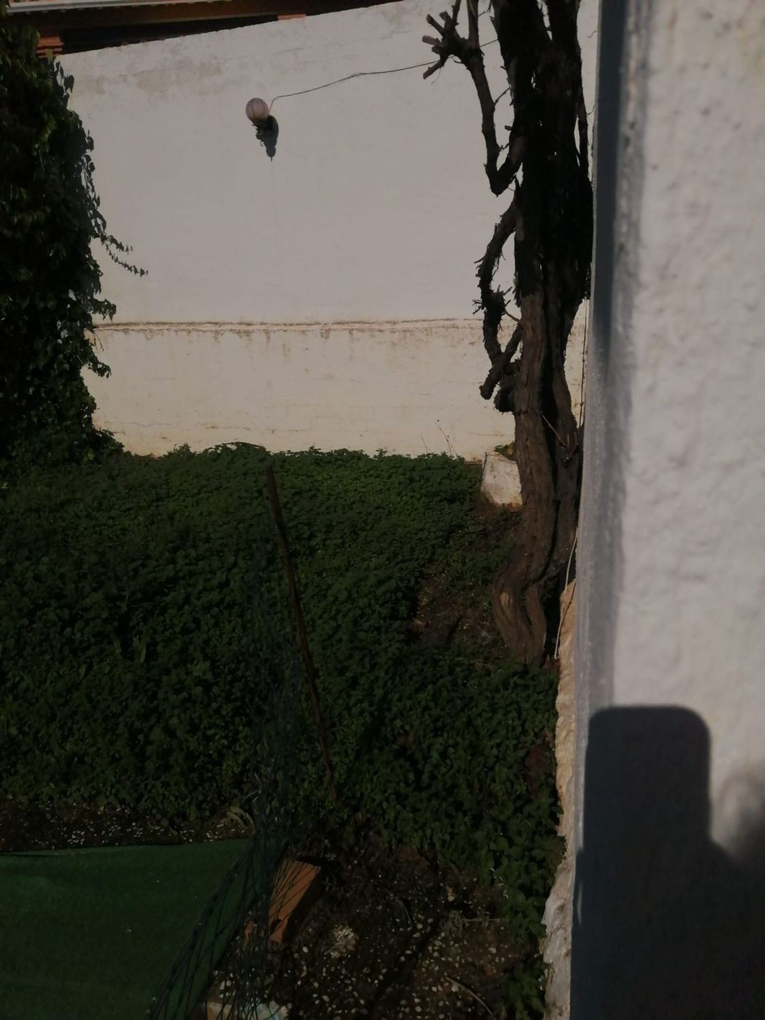 Casa rural en Barriada Don Ramón, 19, Diseminados - Foto 16