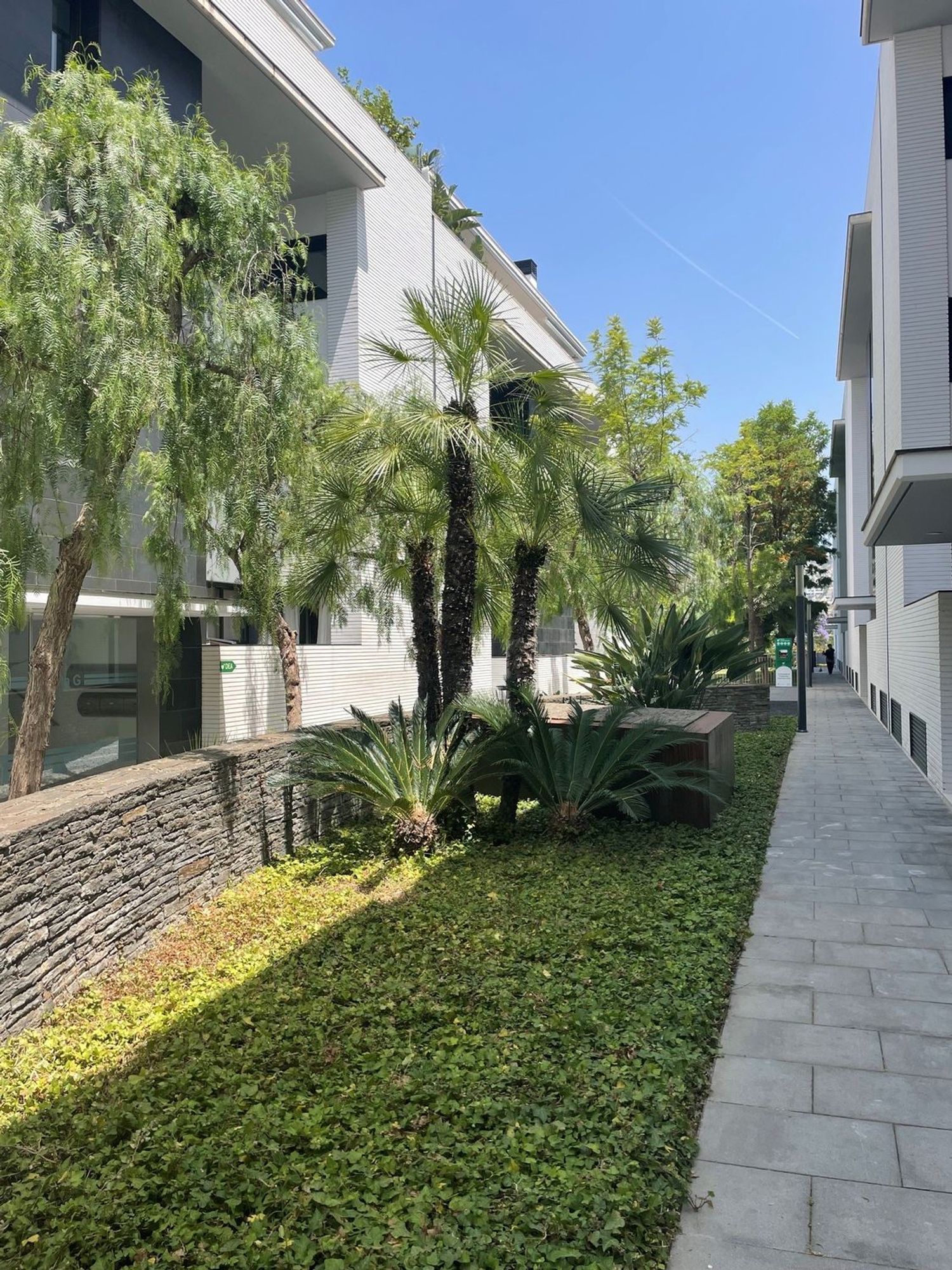 Piso en Plaza Josep Roca Pons, 2, San Sebastian-Aiguadolç, San Sebastian-Aiguadolç - Foto 12