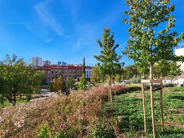 Dúplex en Calle Islas Palaos, 26, Tres Olivos - Valverde - Foto 16