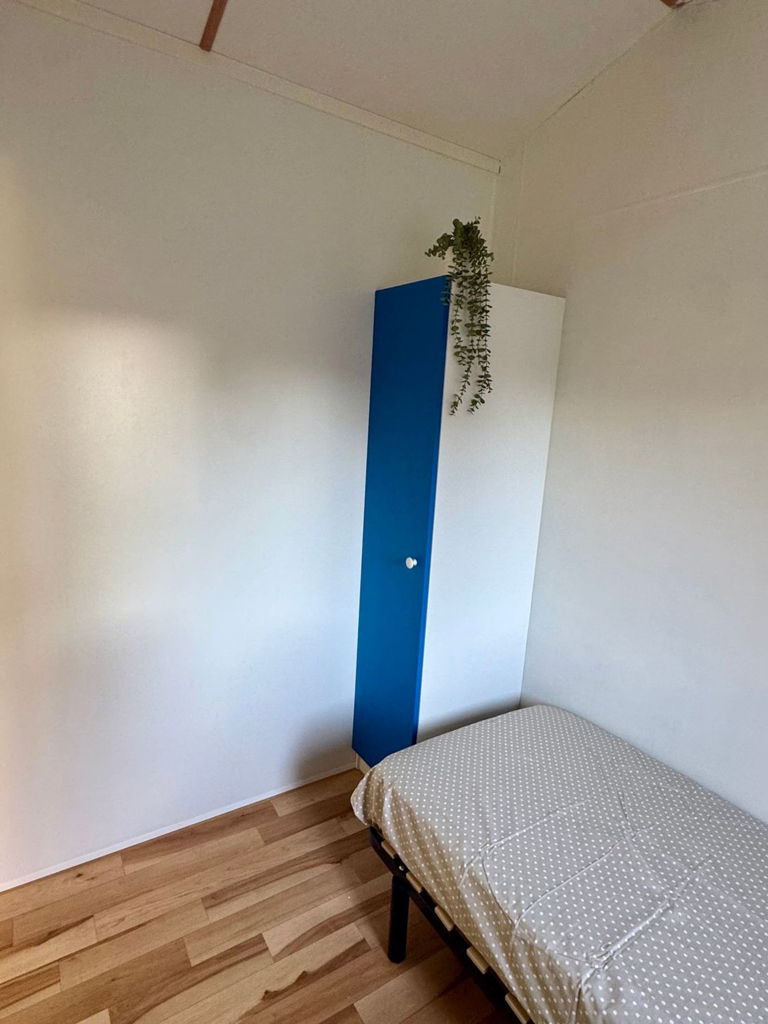 Estudio en El Bosque, El Bosque - Foto 11