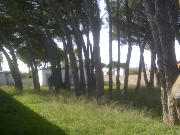 Casa independiente en calle Ceuta s/n - Foto 13