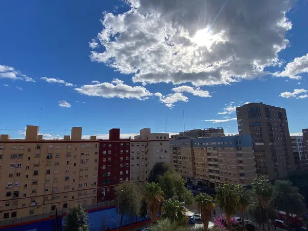 Piso en Musico Gines, 31, Ciutat Jardí - Foto 22
