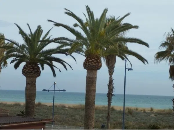Piso en Avenida del Papa Luna, 84, Playa norte, Playa norte - Foto 1