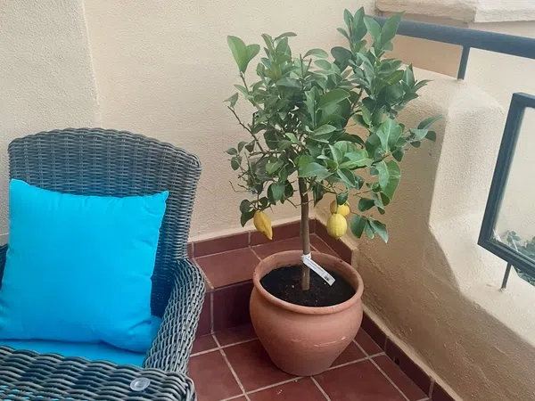 Chalet adosado en calle Mar de Alborán, 2 Block - Foto 35