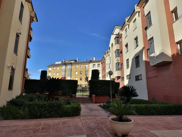 Piso en Calle Escultor Gómez del Río, 7, Santa Rosa - San José - Foto 18