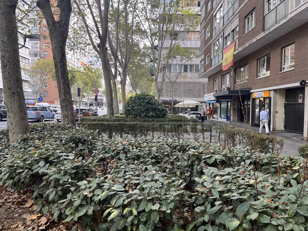 Piso en  Avenida de Alberto de Alcocer 8 - Foto 23