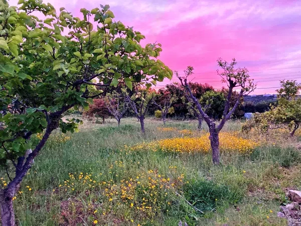 Casa rural en Lugar Pinar de Ojeda, 22 - Foto 7
