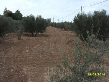 Piso en  Autovía de Murcia 582 - Foto 5