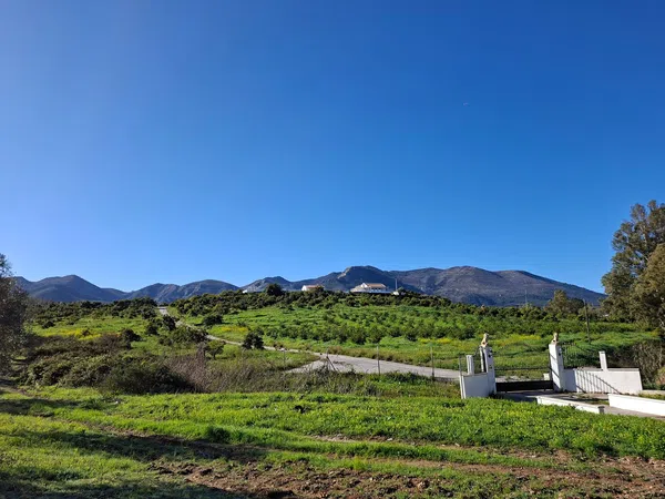 Finca rústica en Camino Arroyo Blas Gonzalez, 2, Buenavista-Lauro Golf, Buenavista-Lauro Golf - Foto 19