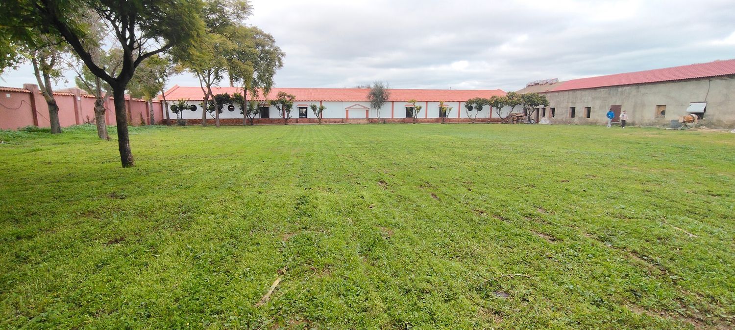 Casa rural en calle Azalea, 9 - Foto 3