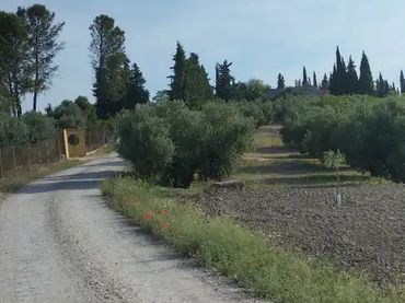 Finca rústica en  Carretera Córdoba - Málaga S-N - Foto 1