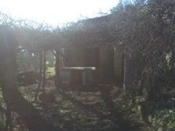 Finca rústica en Las Planas s/n - Foto 27