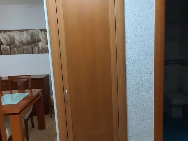 Piso en Calle Pinosol, 16, Gibralfaro - Foto 13