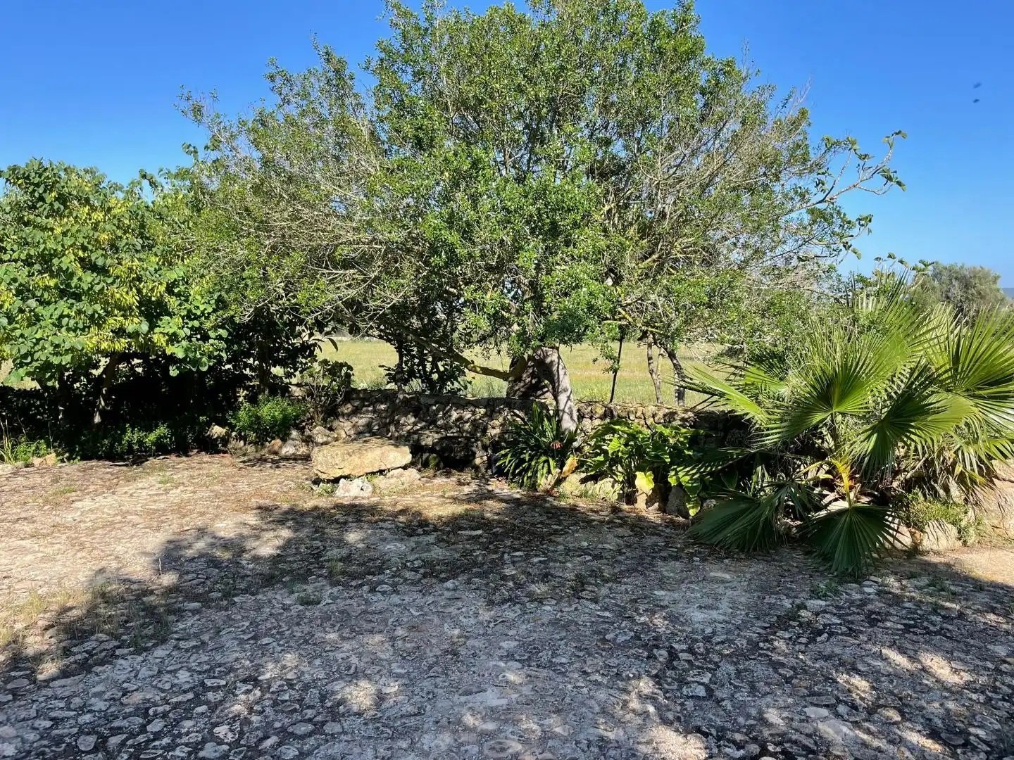 Finca rústica en - Foto 4