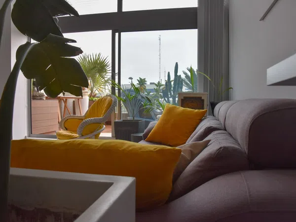 Estudio en calle de la Creu Roja, 1