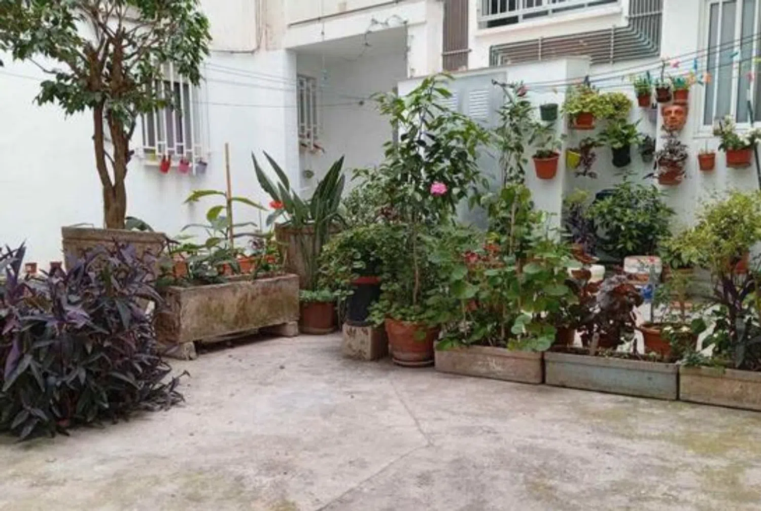 Piso en avenida Gregorio de Diego, 19 - Foto 6