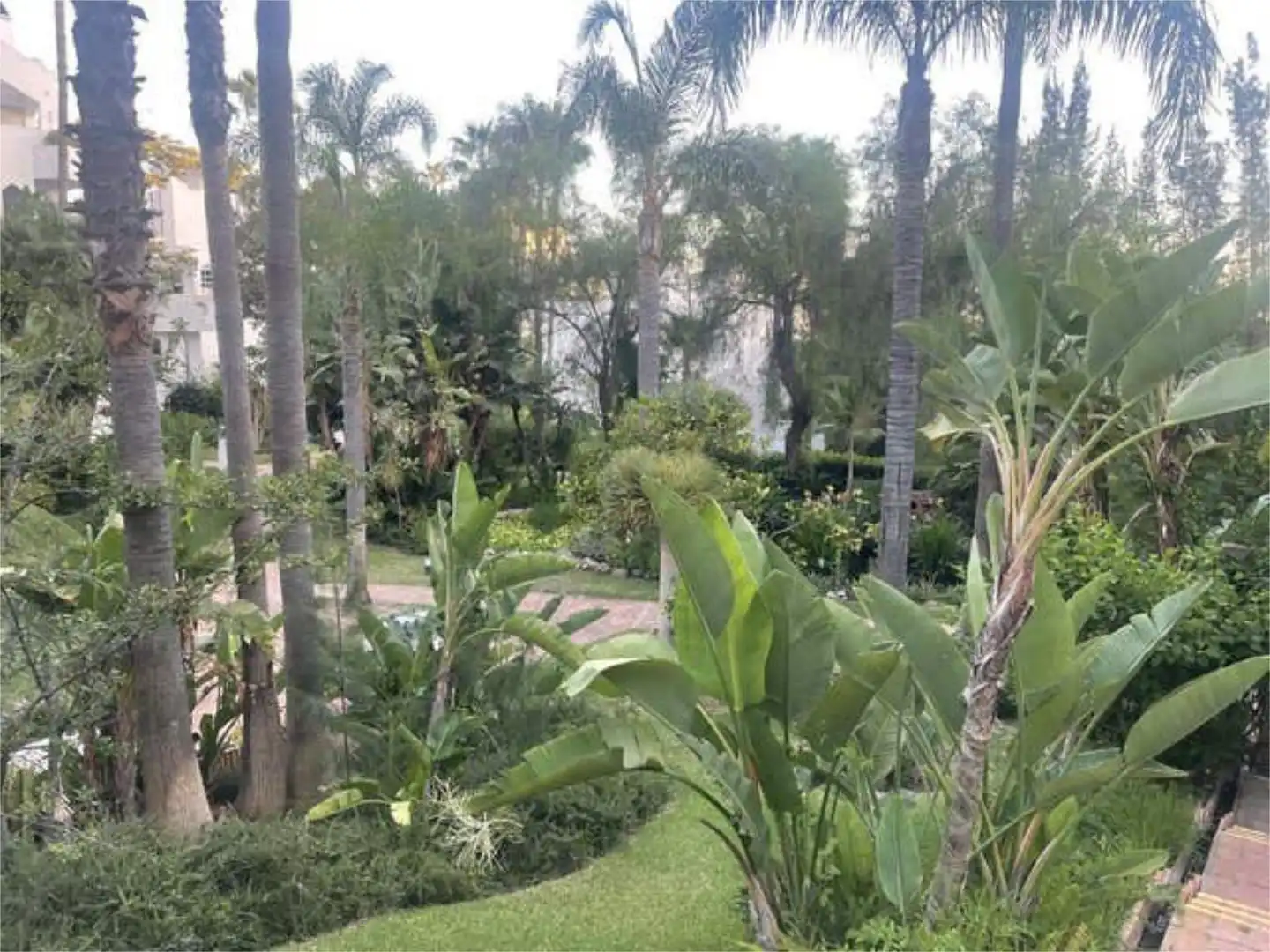 Apartamento en Marbella, Las Chapas, Cabopino. - Foto 5