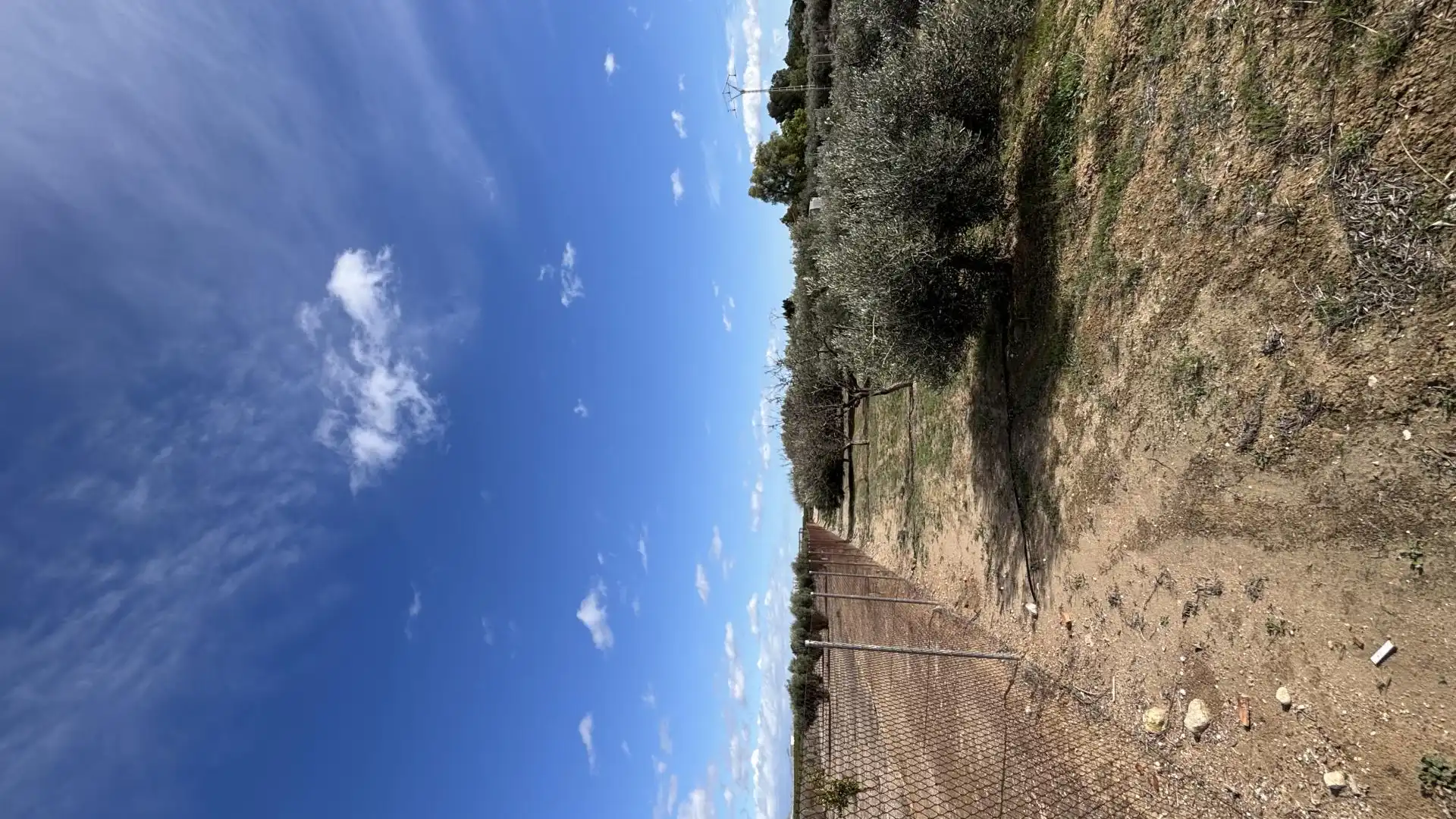 Finca rústica en  Calle Fc Ladrillo 11 - Foto 17