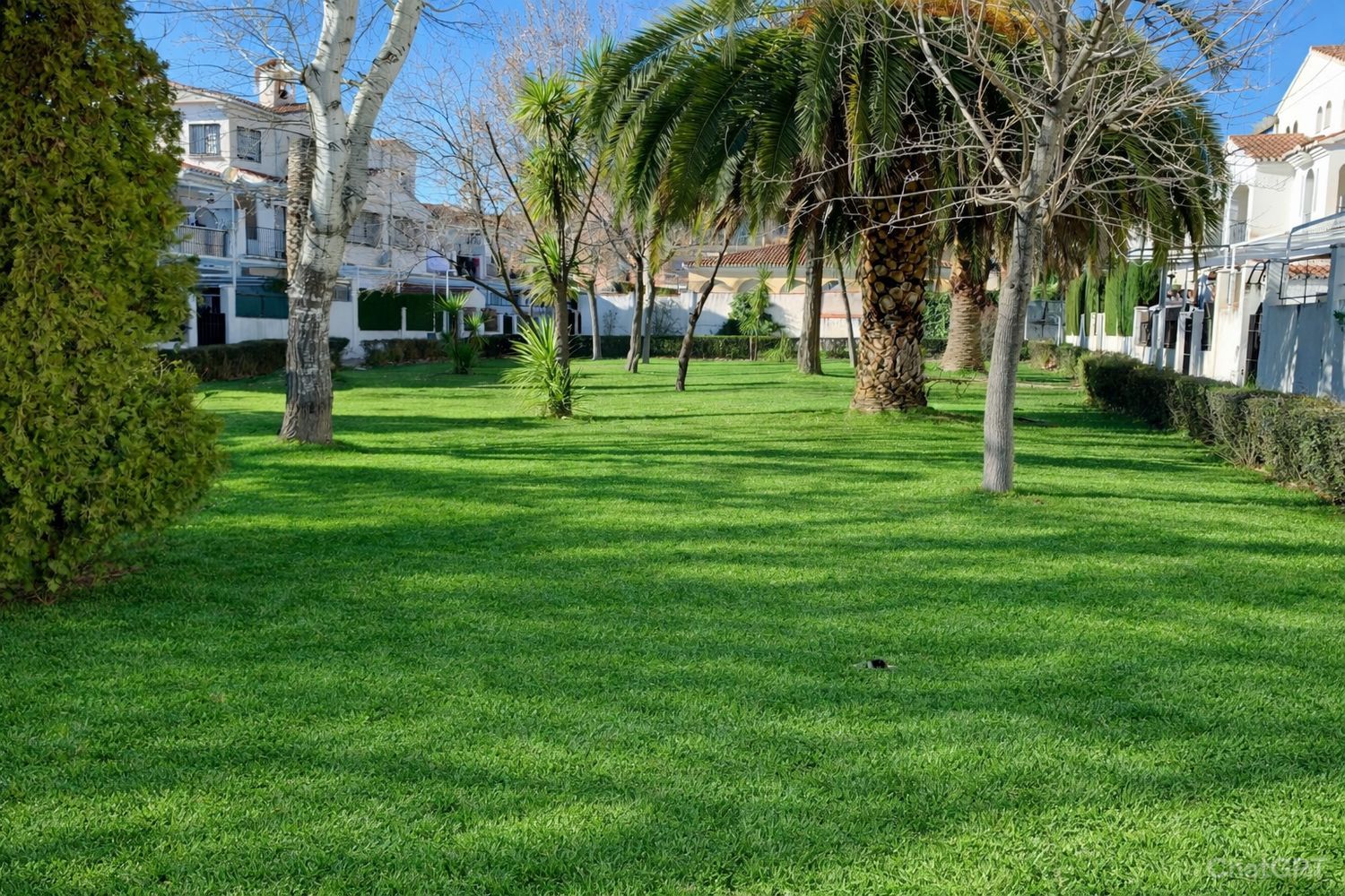 Chalet pareado en Calle los Gladiolos, 9 - Foto 11