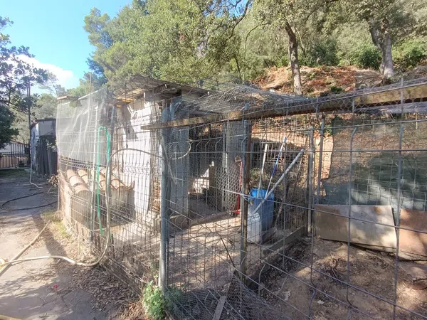 Local en Camino de Can Sardà, 46, Montflorit-Plana del Castell, Montflorit-Plana del Castell - Foto 34