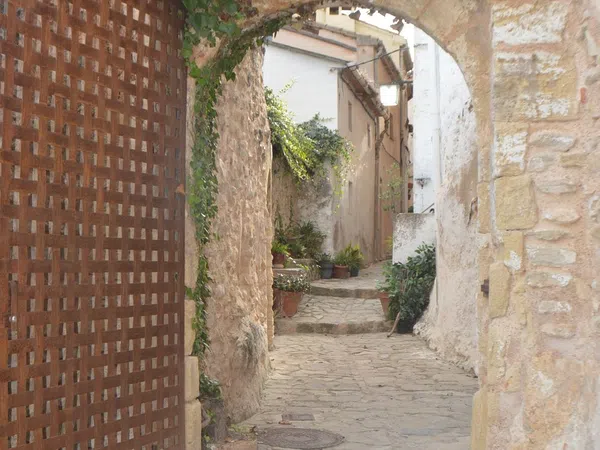 Chalet adosado en Calle Muret, 24 - Foto 9