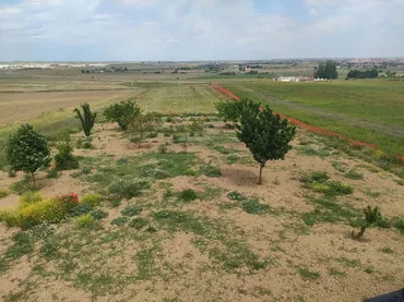 Finca rústica en  Carretera Salamanca 8101 - Foto 13