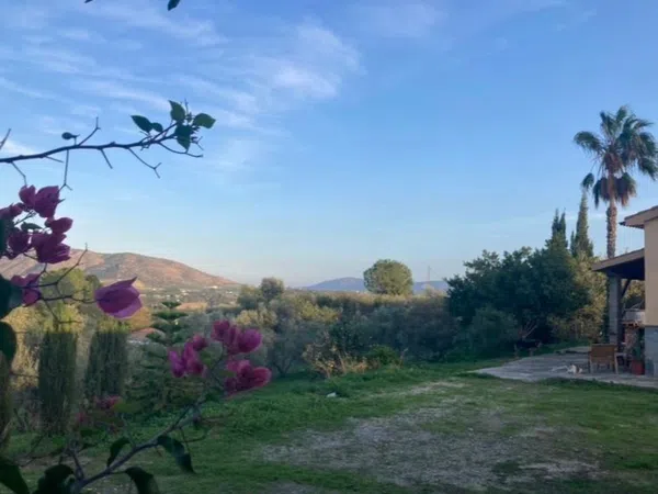 Finca rústica en Camino Navarrete, 19 - Foto 9