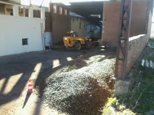Casa independiente en avenida de la Constitución, 1 - Foto 9