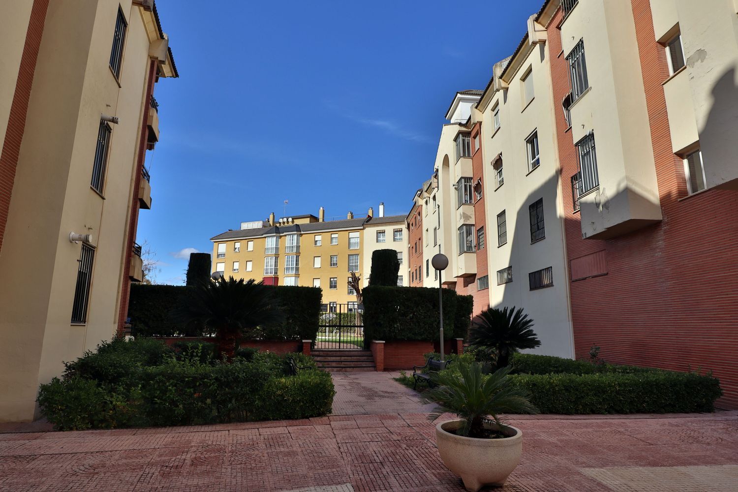 Piso en Calle Escultor Gómez del Río, 7, Santa Rosa - San José - Foto 18