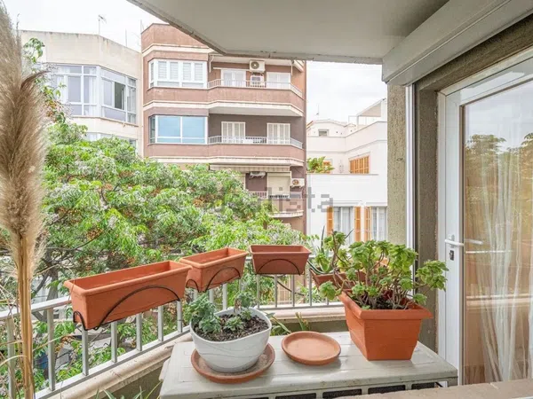 Piso en Calle de Villalonga, 33, Sta Catalina - El Jonquet - Foto 9