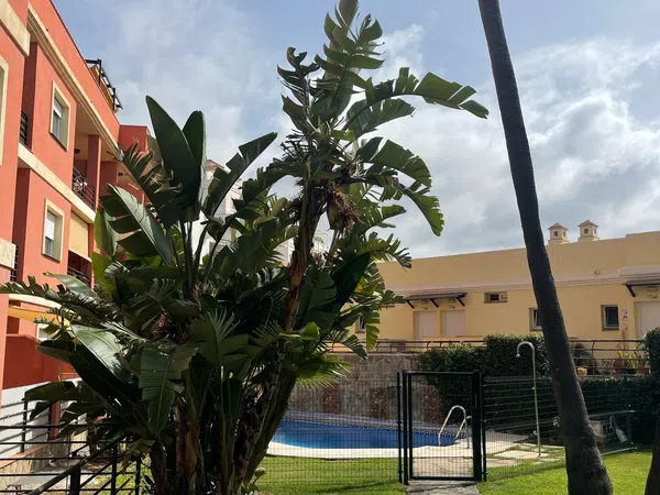 Piso en Calle Albatros, 8, Añoreta Golf - Paraíso del Sol, Añoreta Golf - Paraíso del Sol - Foto 16