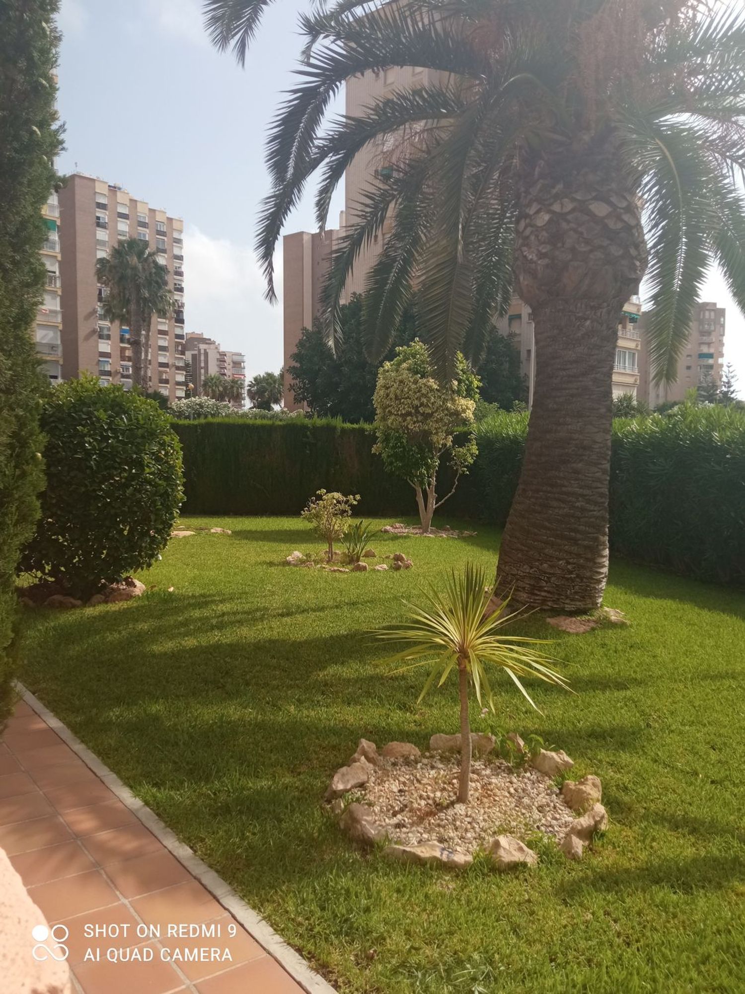 Piso en Calle Teodoro Llorente, 16, Campoamor - Foto 31