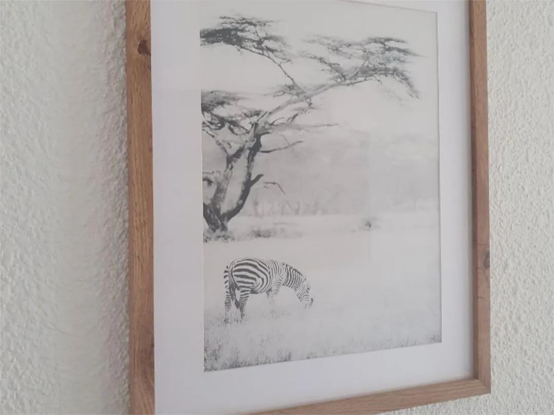 Piso en  Calle de Portugal 51 - Foto 2