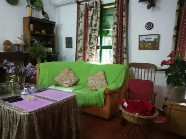 Finca rústica en Urb. Finca Atalaya Alta s/n s/n - Foto 4
