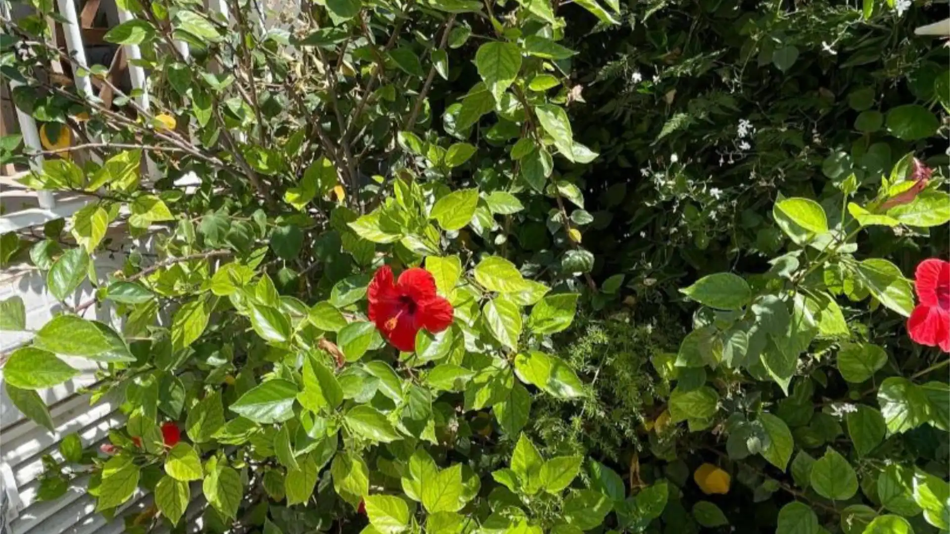 Piso en  Carrer de les Ones 8 - Foto 4