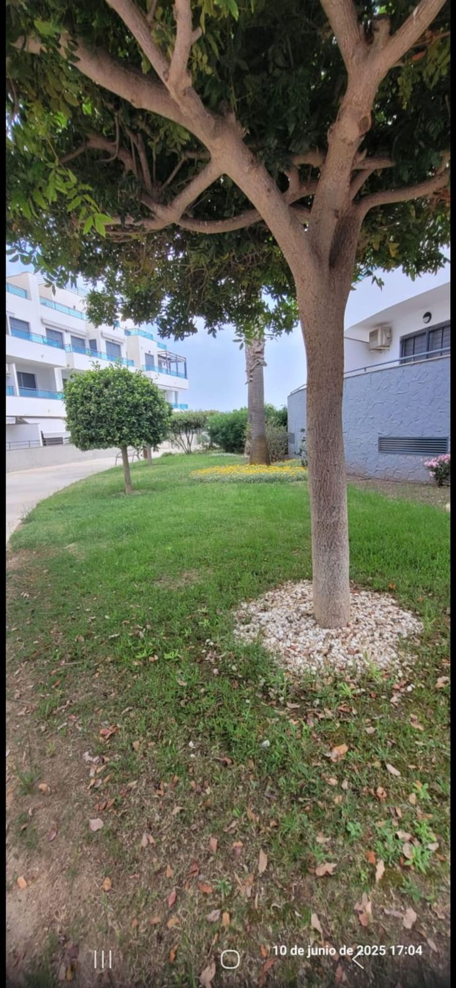 Piso en Avenida Vista Alegre, 2 - Foto 12