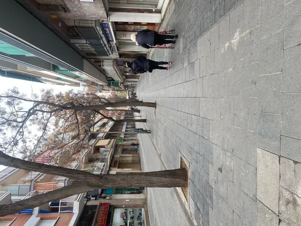 Local en Calle d'Arcadi Balaguer, 74, Centre, Centre - Foto 1