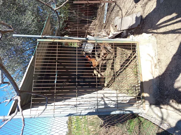 Finca rústica en plaza de Sant Isidre, 15 - Foto 20