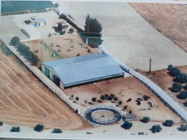 Finca rústica en Pista Cañada Real Galiana o Río, 1 - Foto 1